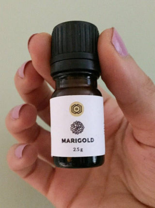 marigold-tagetes-essential-oil-natural-bitter-citrus-khaki-bush-or-mexican-marie-gold-591ee8441.jpg