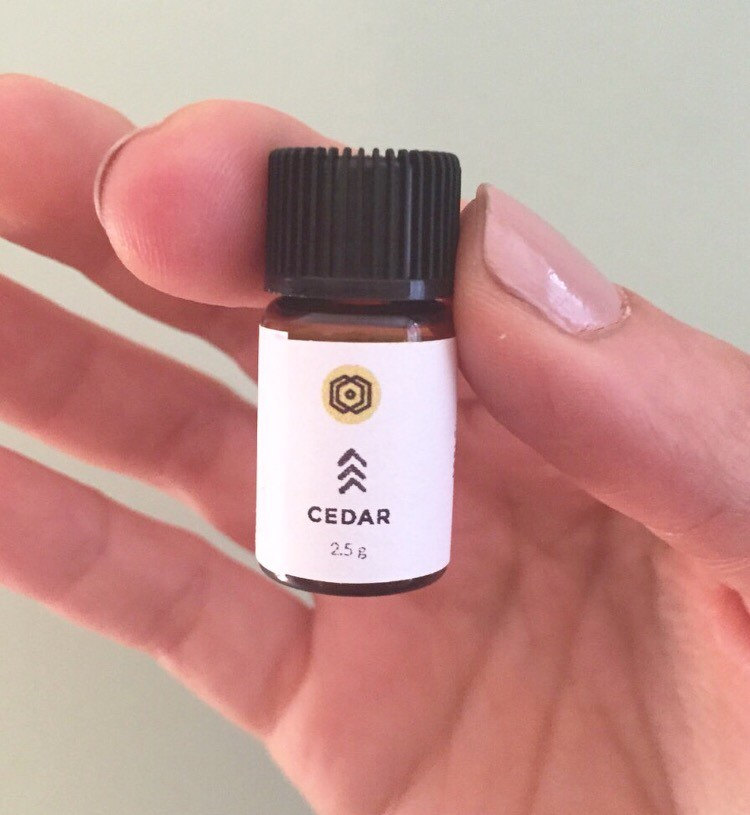 Cedar of Lebanon Prayer Oil for Strength in the Body, 12ml