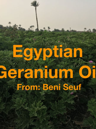 egyptian-geranium-sufi-distilled-oil-in-upper-egypt-evokes-essences-of-rose-pepper-and-greenery-disinfectant-skin-care-mood-enhancer-5d5807951.jpg